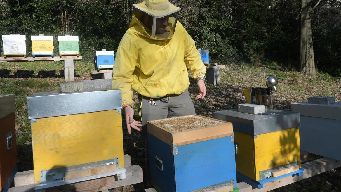 «Territorio: una scuola a cielo aperto» Tutte le attività proposte sono gratuite per gli istituti dei Comuni del Parco «Territorio: una scuola a cielo aperto» Tutte le attività proposte sono gratuite per gli istituti dei Comuni del Parco