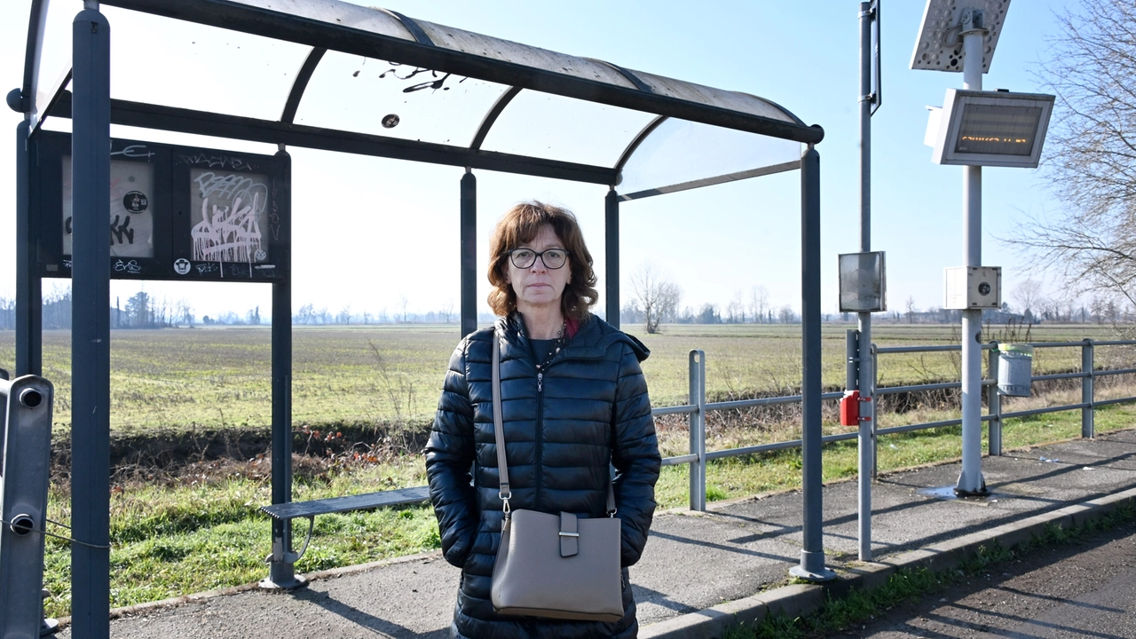 Emanuela Barenghi madre di tre studenti titolari di due abbonamenti annuali Atm e un abbonamento mensile Trenord Emanuela Barenghi madre di tre studenti titolari di due abbonamenti annuali Atm e un abbonamento mensile Trenord