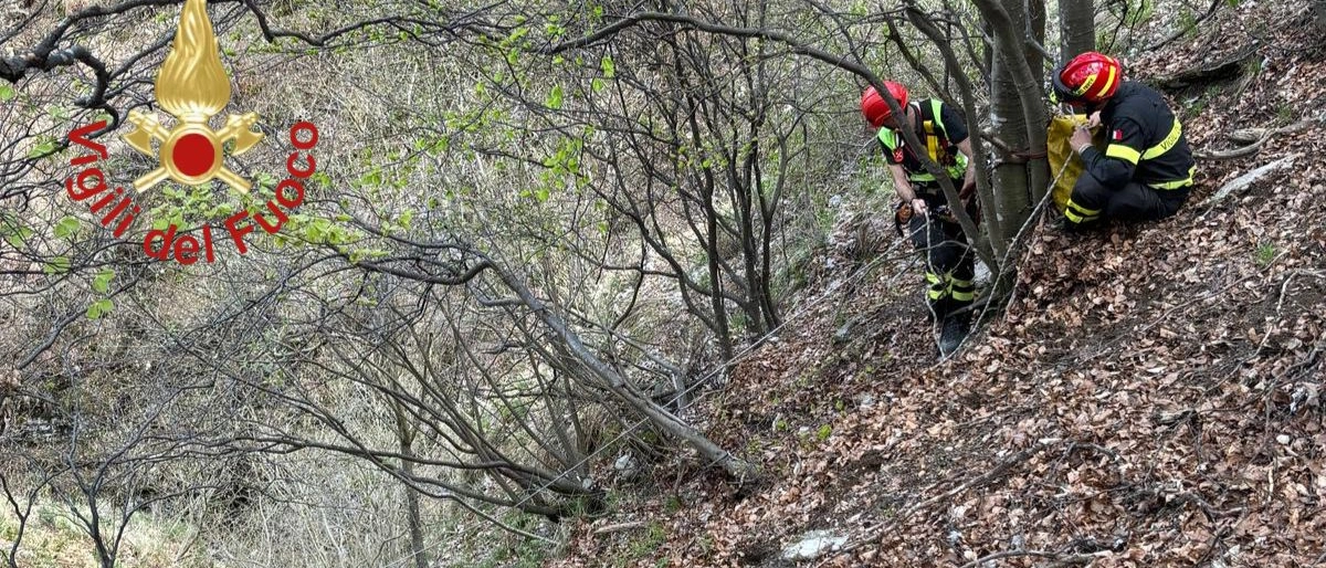 La cagnolina Maia cade in una forra sul monte Generoso: salvata da una squadra squadra Saf