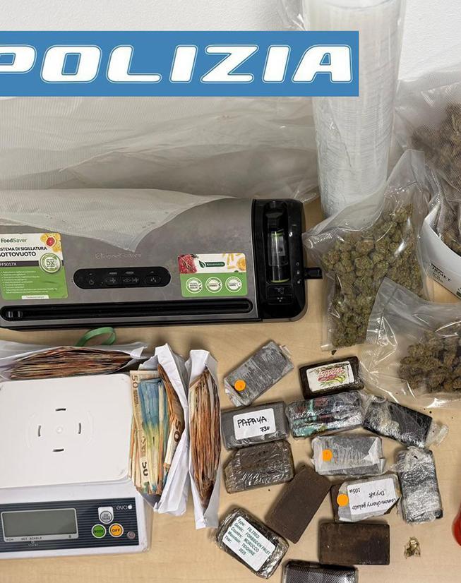 Droga nel cibo per gatti. Stupefacenti nascosti in scatole di mangime