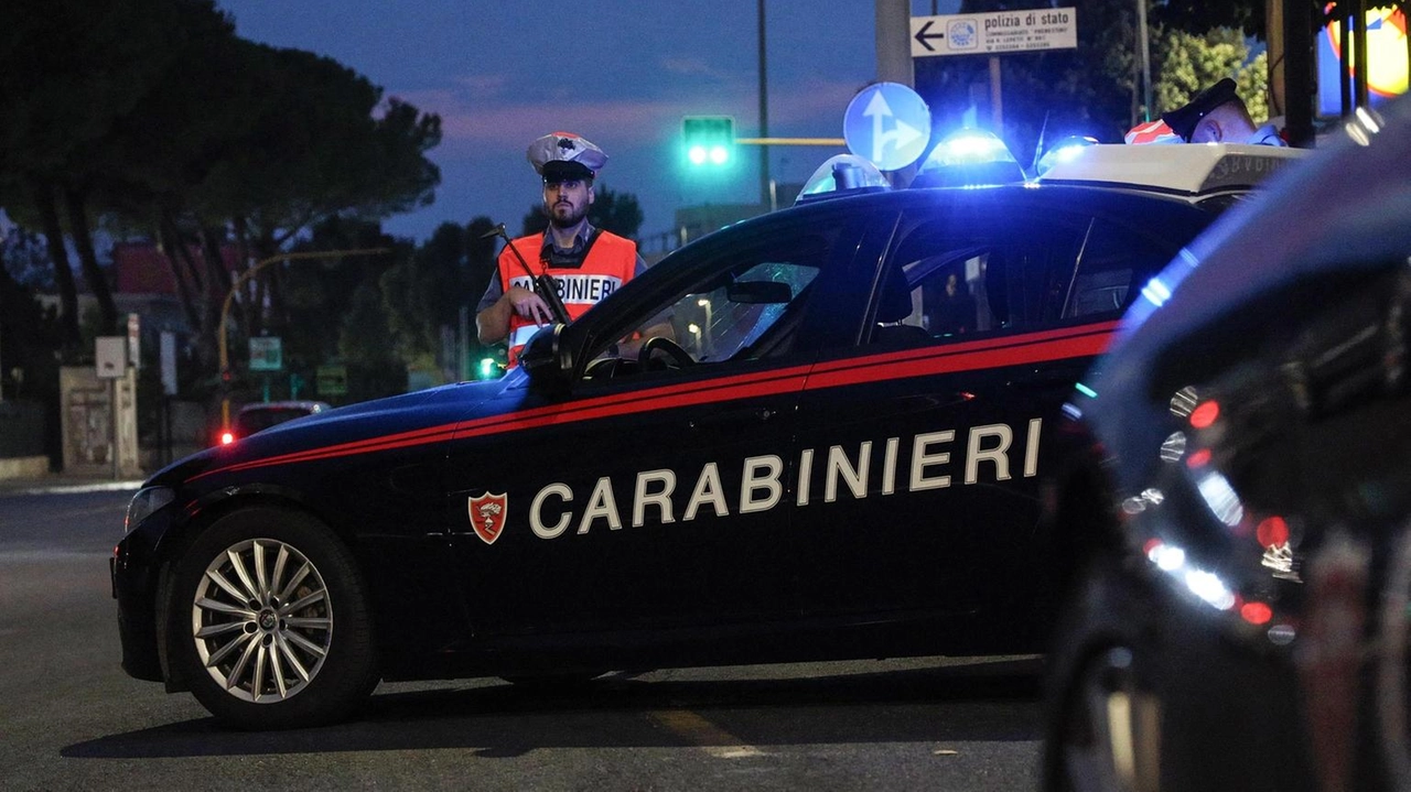 I carabinieri hanno identificato il piromane attraverso le immagini delle telecamere di sicurezza (Immagine d'archivio)