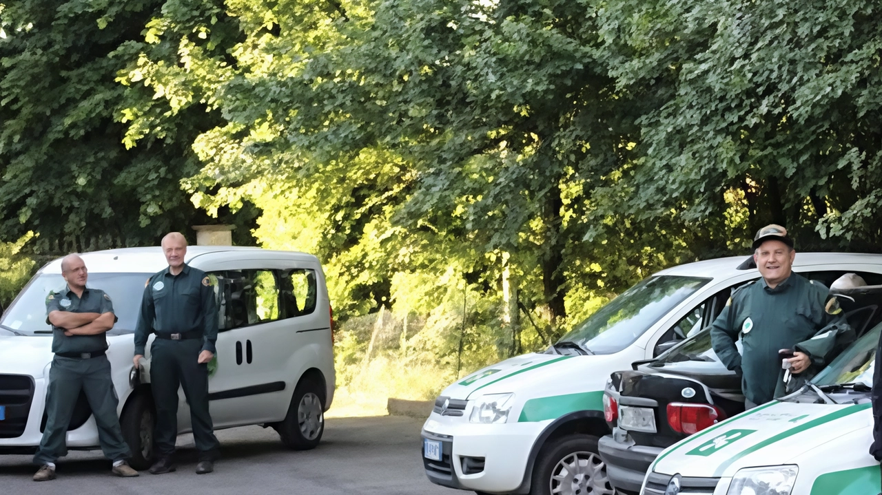 Le Guardie ecologiche volontarie subito avvisate dai frati sono accorse a recuperare e a mettere in salvo il coniglietto Le Guardie ecologiche volontarie subito avvisate dai frati sono accorse a recuperare e a mettere in salvo il coniglietto
