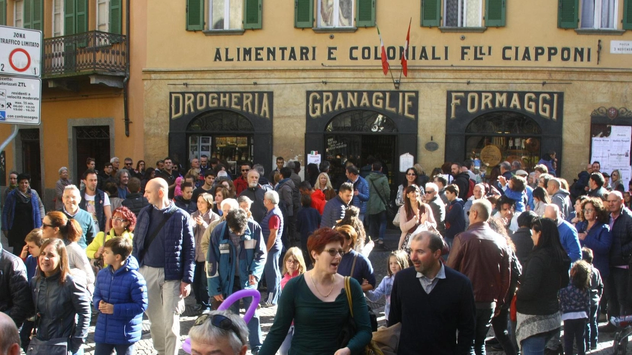 A Morbegno si svolgeranno due weekend di "Morbegno in Cantina" seguiti dalla Mostra del Bitto, giunta alla 117ª edizione. Degustazioni, eventi culturali e convegni sul ruolo delle denominazioni di origine nel settore lattiero-caseario nazionale animeranno l'evento. A Morbegno si svolgeranno due weekend di "Morbegno in Cantina" seguiti dalla Mostra del Bitto, giunta alla 117ª edizione. Degustazioni, eventi culturali e convegni sul ruolo delle denominazioni di origine nel settore lattiero-caseario nazionale animeranno l'evento.