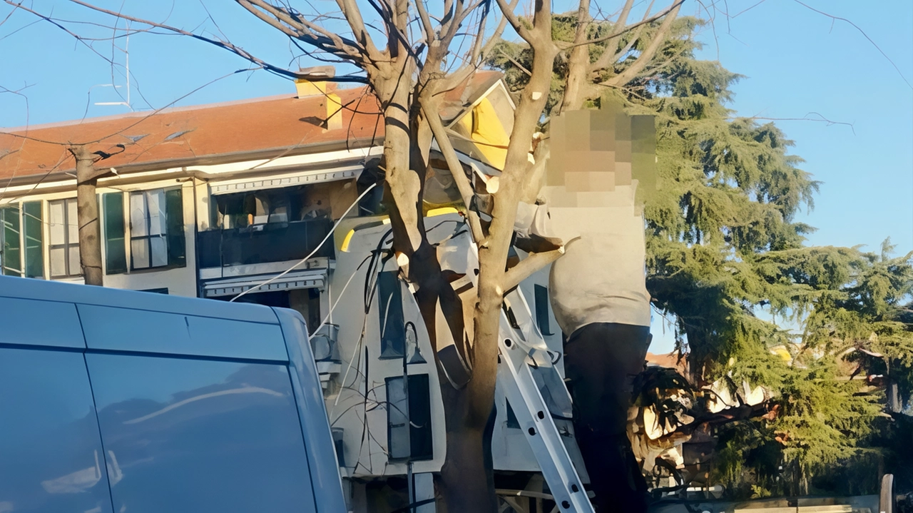 L'uomo è stato sorpreso nella potatura illecita dalla polizia locale L'uomo è stato sorpreso nella potatura illecita dalla polizia locale