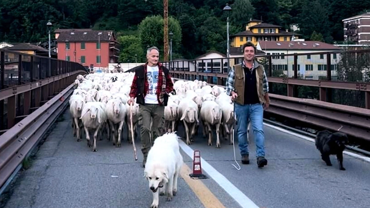 La spumeggiante marea bianca sul suo percorso con il Lario alle spalle a fare da sfondo. A dirigere lo show Andrea Galbusera La spumeggiante marea bianca sul suo percorso con il Lario alle spalle a fare da sfondo. A dirigere lo show Andrea Galbusera