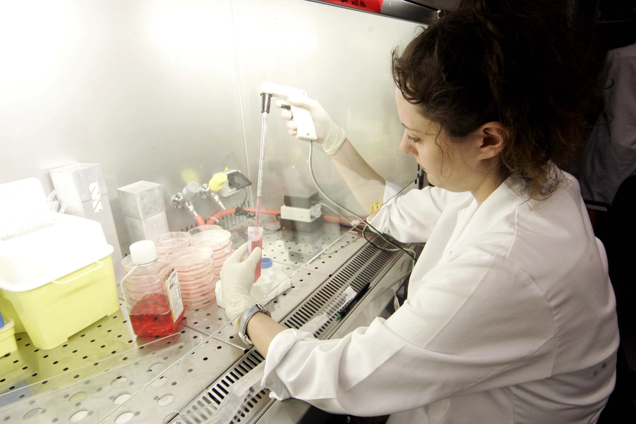 Un laboratorio all'interno dello Ieo, l'istituto oncologico fondato da Umberto Veronesi