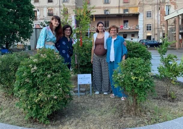 un melograno in piazza emblema del coraggio e del sacrificio di rita