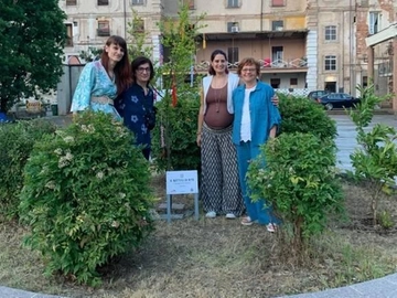 immagine articolo