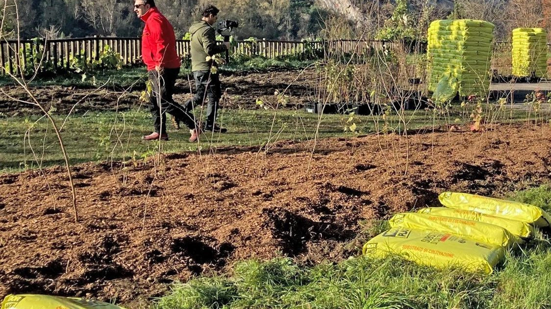 Piantumazione in corso nell’Oasi di Baggero grazie agli oltre mille alberi donati da Rete Clima Piantumazione in corso nell’Oasi di Baggero grazie agli oltre mille alberi donati da Rete Clima