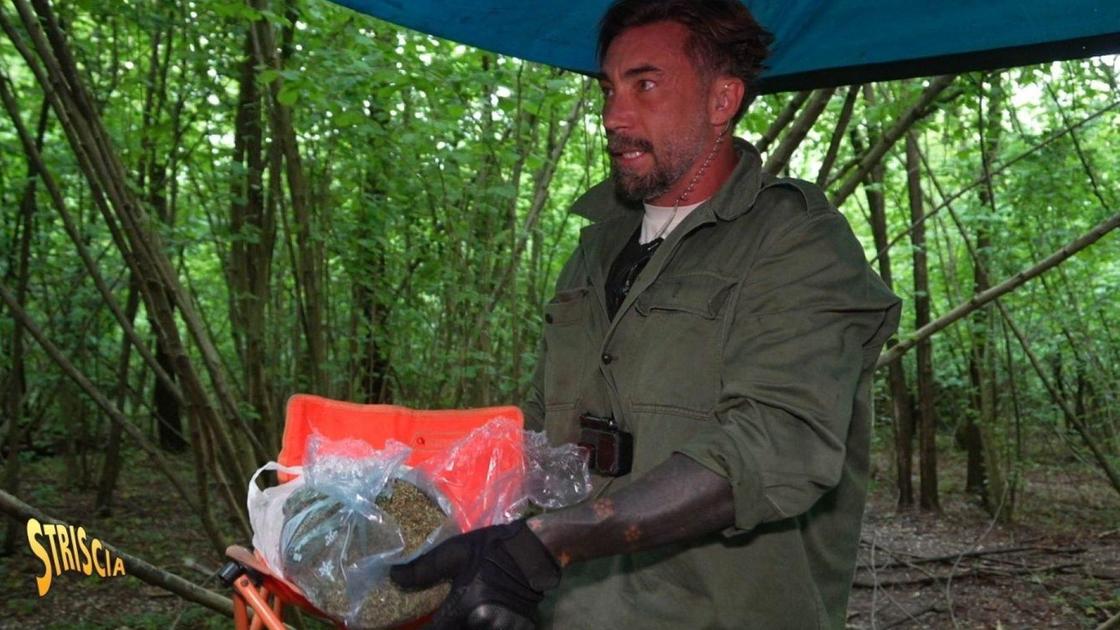 Pusher nel Bosco del Conte: "Take away sempre aperto" Pusher nel Bosco del Conte: "Take away sempre aperto"