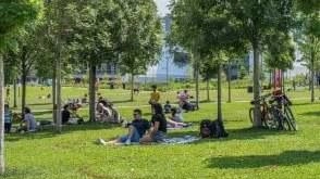 Quasi 340mila metri quadrati di verde realizzati dall’ottobre 2021 ad oggi, tra nuovi giardini, aree verdi e parchi attrezzati, diffusi... Quasi 340mila metri quadrati di verde realizzati dall’ottobre 2021 ad oggi, tra nuovi giardini, aree verdi e parchi attrezzati, diffusi...