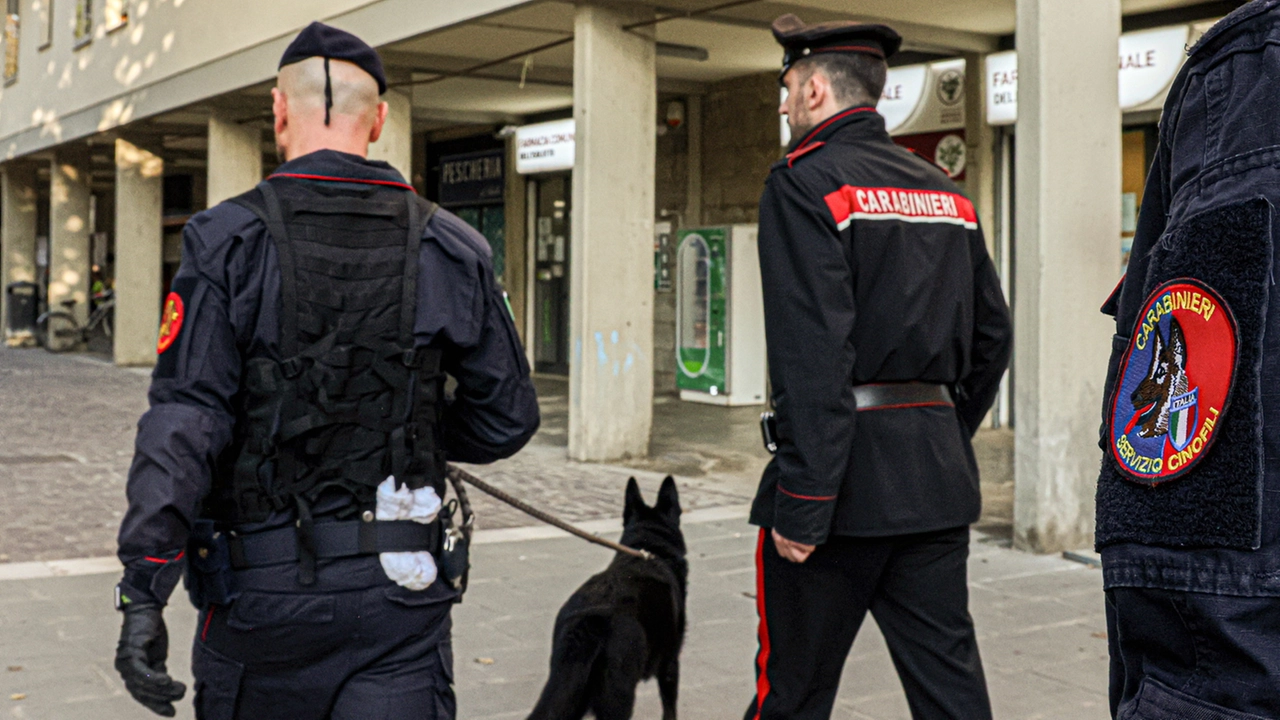 Operazione antidroga dei carabinieri a Oggiono: sei arresti (Foto di repertorio)