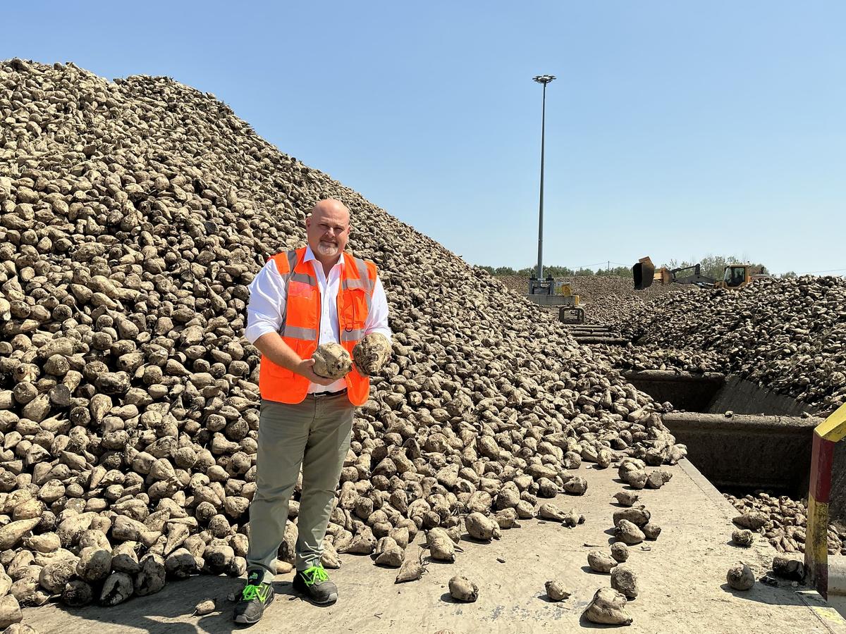 Produttori di barbabietole in Lombardia, sfida d’oltreoceano: “Un danno l’accordo Ue Mercosur”