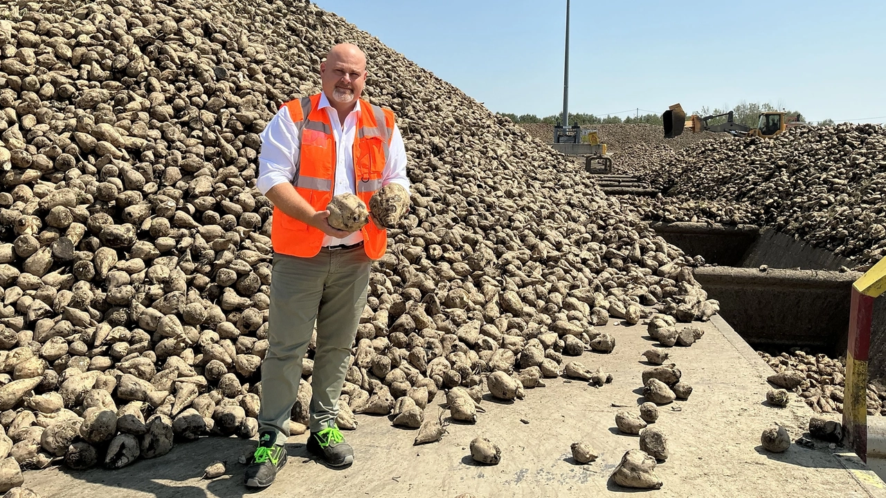 Luigi Maccaferri, che guida Italia Zuccheri-Coprob la cooperativa che riunisce i produttori Luigi Maccaferri, che guida Italia Zuccheri-Coprob la cooperativa che riunisce i produttori