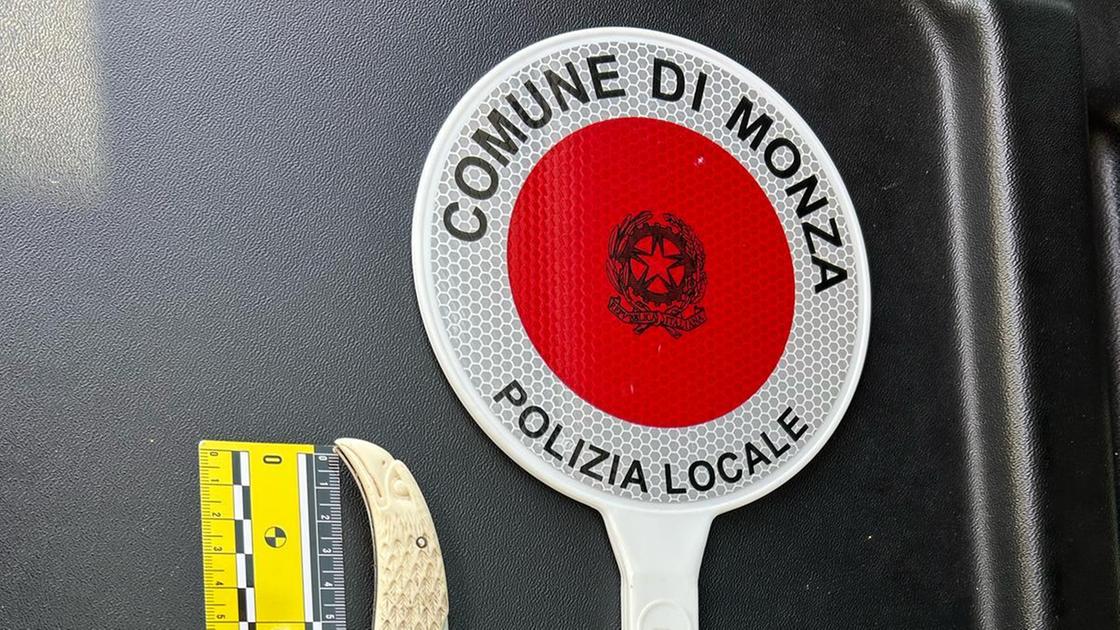 Blitz nelle aree dismesse, scattano quattro denunce Blitz nelle aree dismesse, scattano quattro denunce