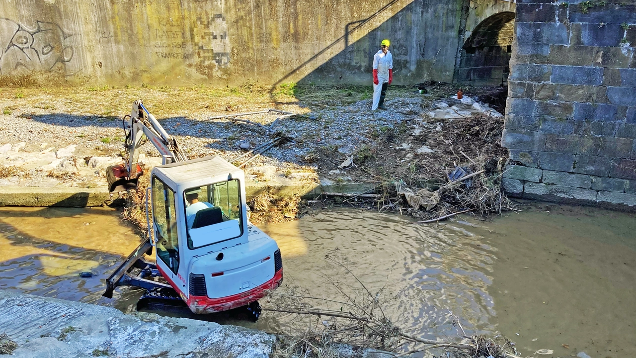 Pulizia del torrente Morla a Bergamo Pulizia del torrente Morla a Bergamo