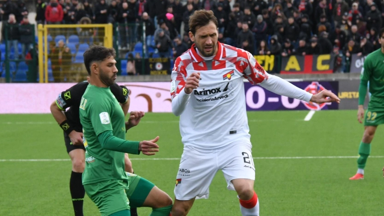 Serie B, la Cremonese non può più sbagliare. Contro il Catanzaro match chiave per il quarto posto