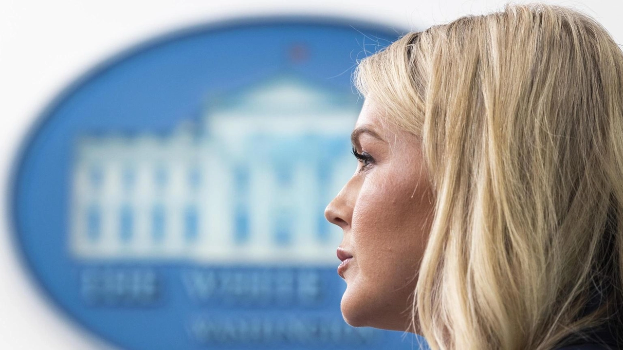 'Trump molto impegnato con Zelensky e l'Europa'
