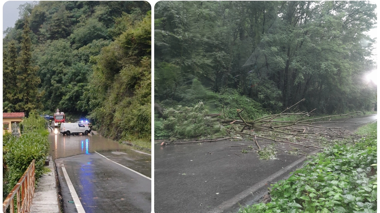 SP 69 allagata in territorio di Brezzo di Bedero, sono sul posto i vigili del fuoco (Foto Facebook Marco Fazio) e albero caduto sulla strada da Cuasso al Piano a Porto Ceresio (Foto facebook Maddalena Columbano)