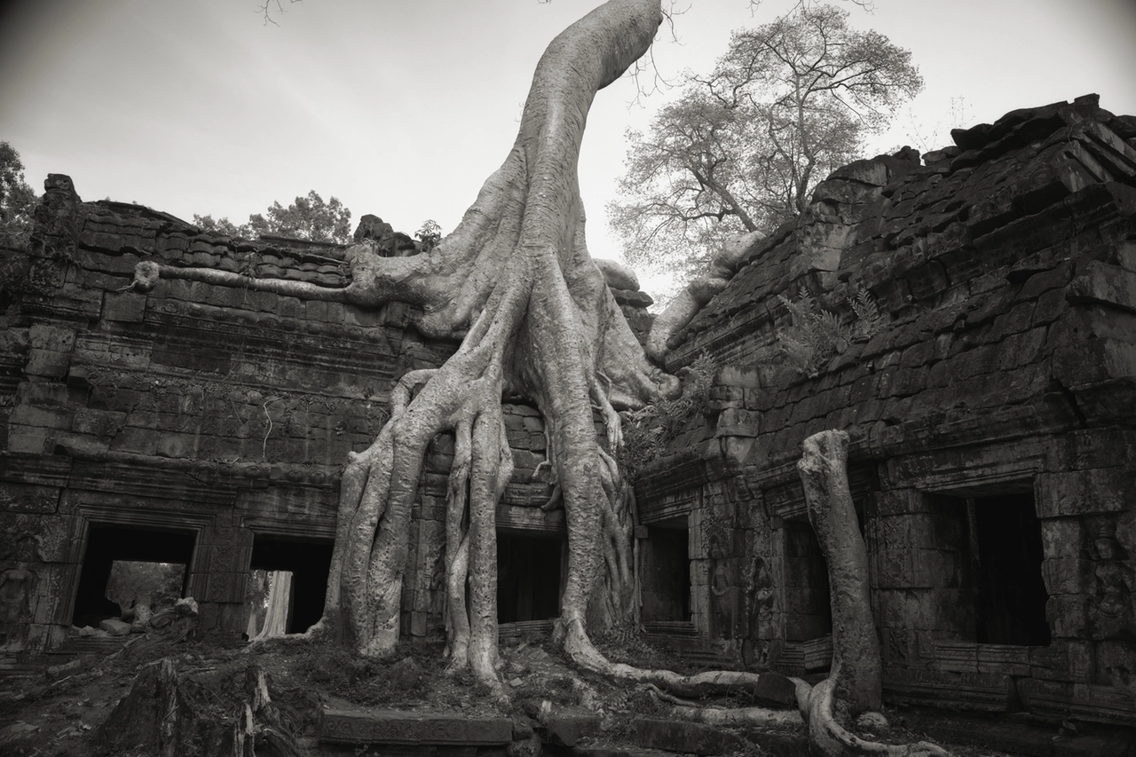 Kenro Izu, Angkor #26, Cambogia 1993