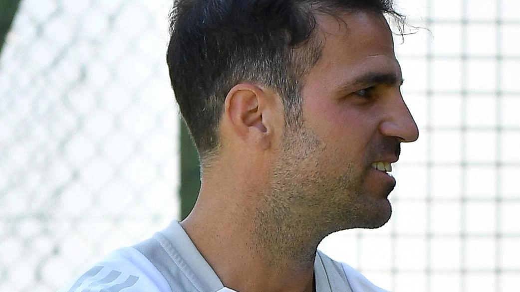 Fabregas lancia il Como in Coppa Italia: "Questa squadra ha tanta qualità, vogliamo passare il turno"