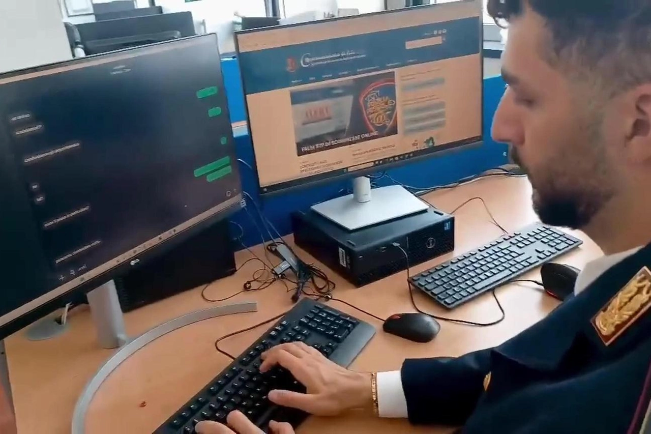 L'operazione che ha smantellato la "rete d'odio" è avvenuta sotto la regia della Digos, la  Divisione investigazioni generali e operazioni speciali della polizia