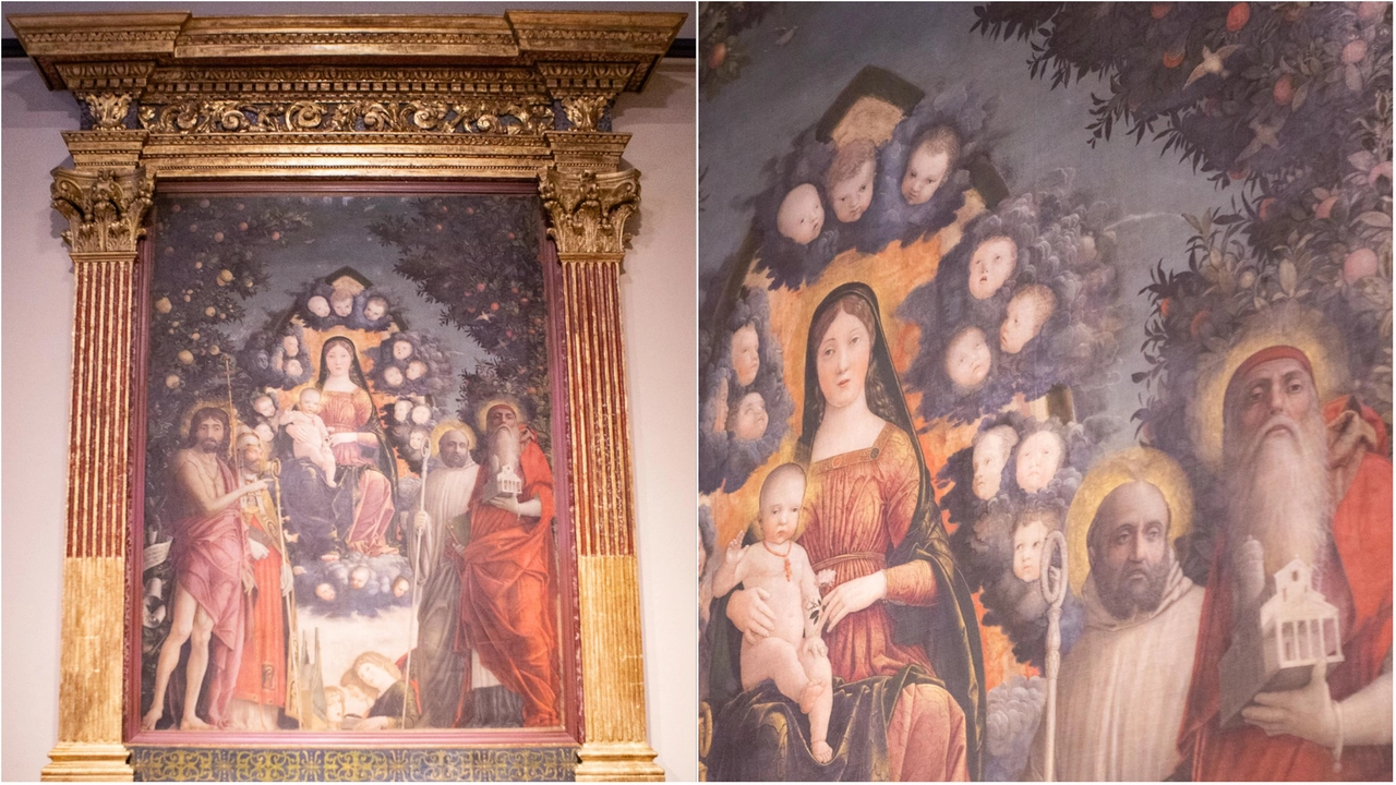 L'opera "Madonna con il Bambino fra santi e angeli" di Andrea Mantegna, conosciuta come Pala Trivulzio, è nuovamente esposta al Castello Sforzesco di Milano L'opera "Madonna con il Bambino fra santi e angeli" di Andrea Mantegna, conosciuta come Pala Trivulzio, è nuovamente esposta al Castello Sforzesco di Milano