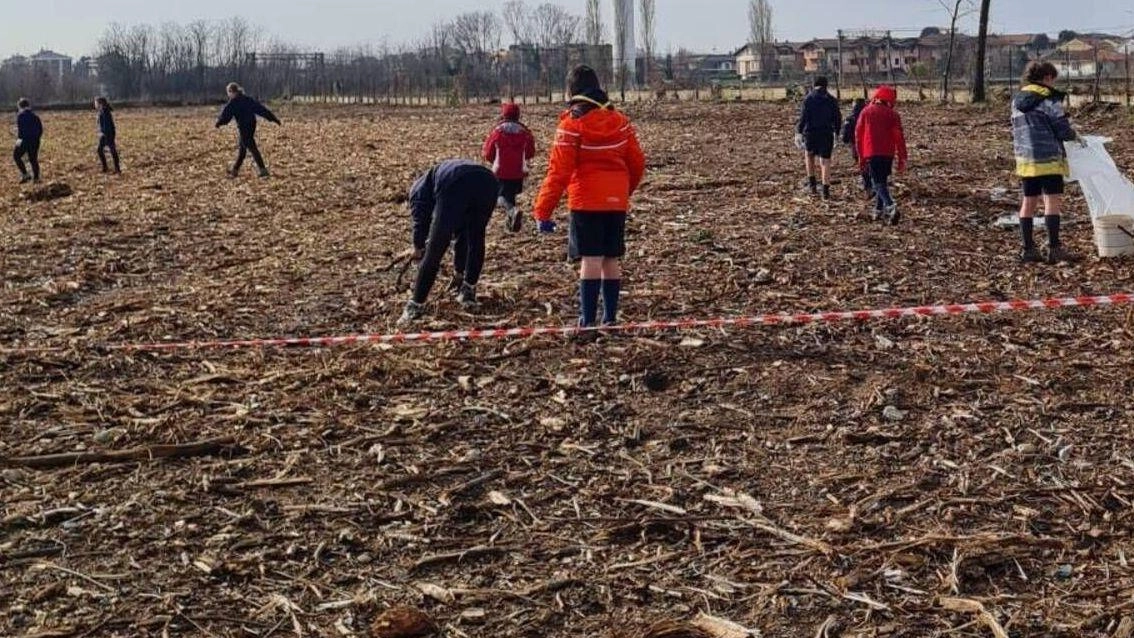 Nei tre ettari devastati dal rogo del 2023 oltre ai 180 alberi sono stati piantumati 870 arbusti autoctoni che diventeranno rifugio di insetti impollinatori e piccoli animali
