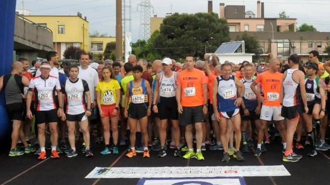 La Roccolo Run 2024 a Canegrate segna la rinascita dopo la tempesta grazie ai volontari e al sostegno della comunità locale. La gara di 10 km rappresenta un simbolo di resilienza e impegno. La Roccolo Run 2024 a Canegrate segna la rinascita dopo la tempesta grazie ai volontari e al sostegno della comunità locale. La gara di 10 km rappresenta un simbolo di resilienza e impegno.