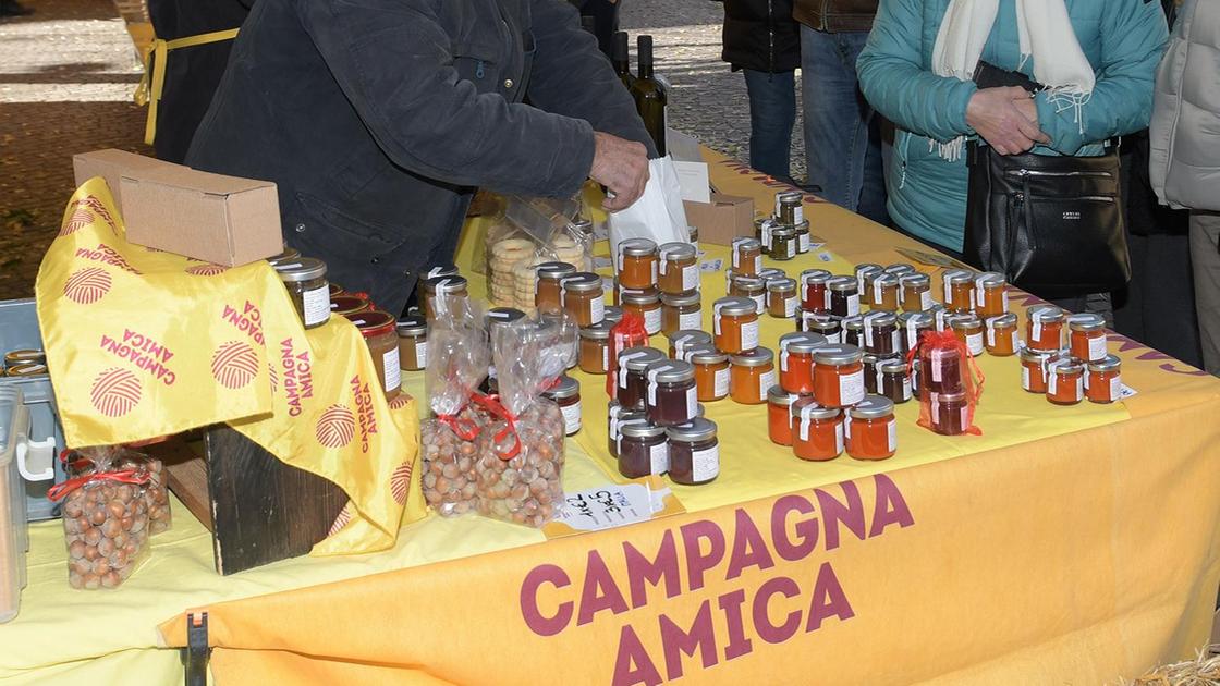 Santa Caterina. Il Comune apre il bando