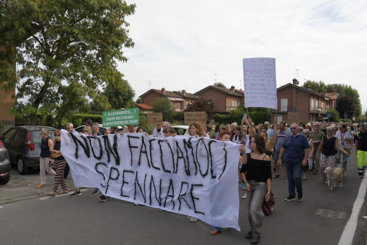 La protesta di Travacò Siccomario contro l’allevamento di polli: “Non lo vogliamo". La petizione raccoglie 1.300 firme La protesta di Travacò Siccomario contro l’allevamento di polli: “Non lo vogliamo". La petizione raccoglie 1.300 firme