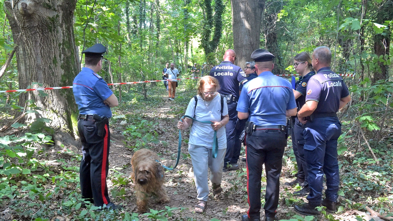 Dopo due mesi di battaglia gli attivisti hanno dovuto arrendersi: sono stati sgomberati e le piante rase al suolo Dopo due mesi di battaglia gli attivisti hanno dovuto arrendersi: sono stati sgomberati e le piante rase al suolo