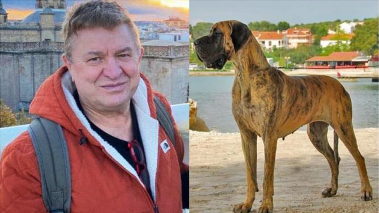 Patrizio Donati morto sbranato e, a destra, uno dei suoi dodici cani Patrizio Donati morto sbranato e, a destra, uno dei suoi dodici cani