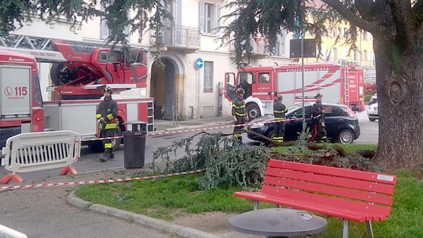 Guardia giurata salva una donna Guardia giurata salva una donna