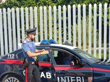 immagine articolo