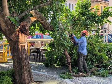 immagine articolo