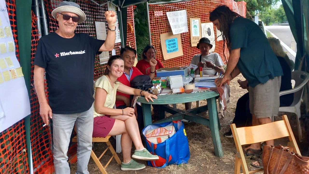 I volontari del comitato sotto il gazebo allestito in via Curtatone anche il giorno di Ferragosto I volontari del comitato sotto il gazebo allestito in via Curtatone anche il giorno di Ferragosto