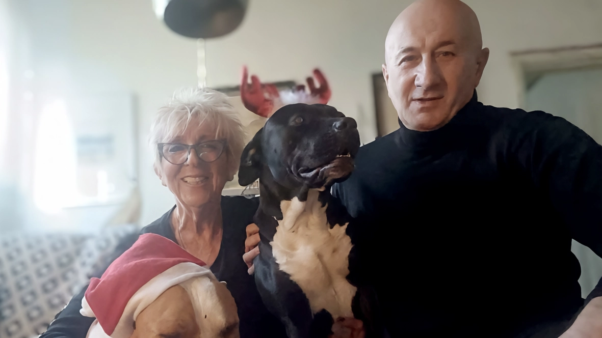 Alcuni volontari dell’Enpa di Monza con i cani che hanno deciso di adottare Alcuni volontari dell’Enpa di Monza con i cani che hanno deciso di adottare