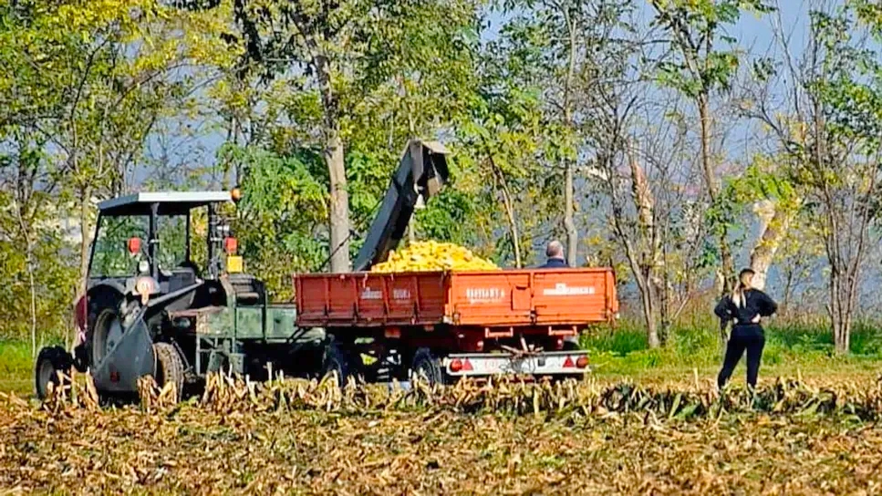 La tragedia è avvenuta nel terreno agricolo della famiglia La tragedia è avvenuta nel terreno agricolo della famiglia