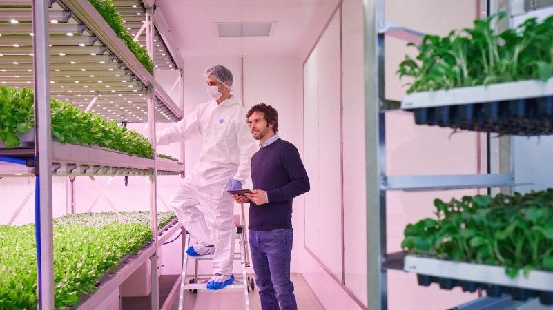 L’interno dell’impianto di Planet Farms L’interno dell’impianto di Planet Farms