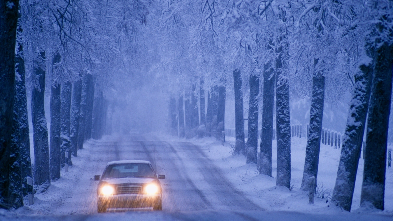 Prime nevicate (Olycom)