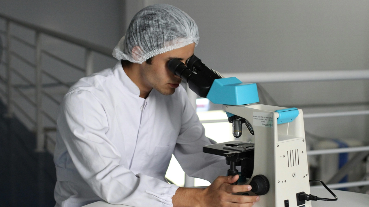 Le diagnosi di leucemia sono aumentate negli ultimi anni: nel 2023 si sono registrate 24mila diagnosi in più Le diagnosi di leucemia sono aumentate negli ultimi anni: nel 2023 si sono registrate 24mila diagnosi in più