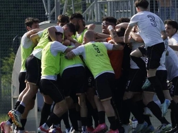 immagine articolo