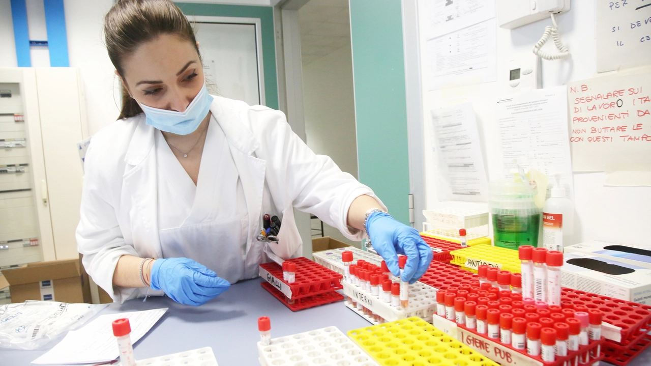 Un laboratorio di analisi dei tamponi Covid (Immagine d'archivio) Un laboratorio di analisi dei tamponi Covid (Immagine d'archivio)