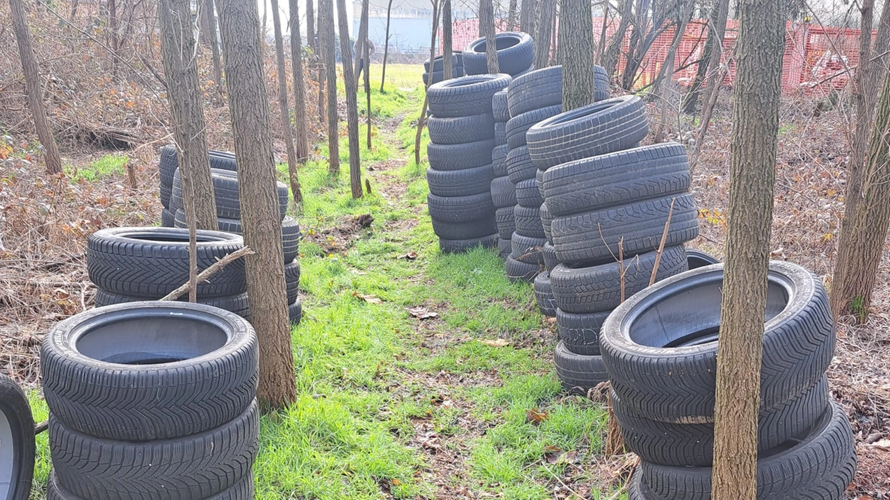 Gli pneumatici abbandonati fra le boscaglie del quartiere Cederna di Monza Gli pneumatici abbandonati fra le boscaglie del quartiere Cederna di Monza