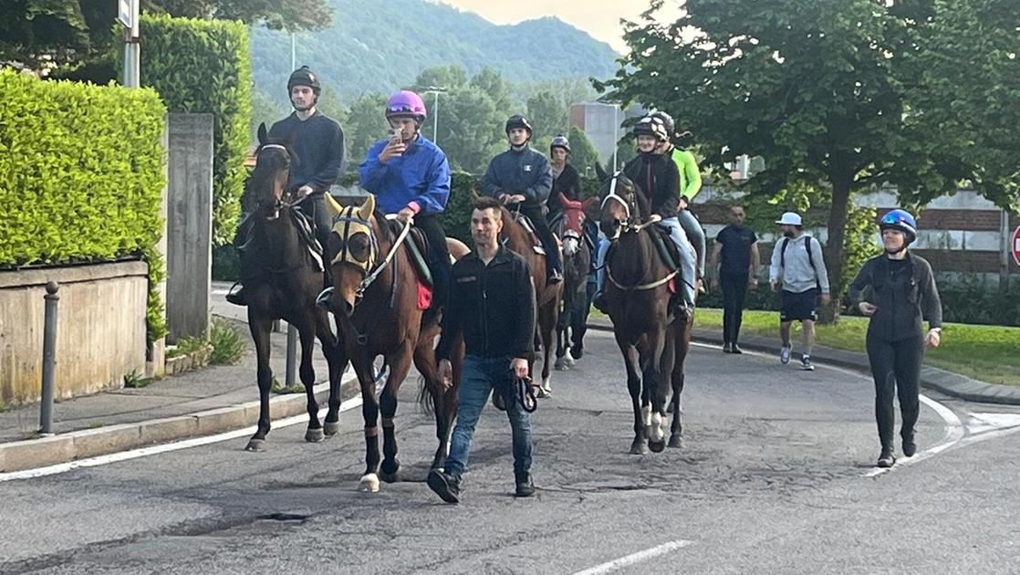 L’ippodromo di Varese chiude la pista per gli allenamenti, cavalli fermi nei box: marcia equestre di protesta degli allenatori nei giardini del municipio L’ippodromo di Varese chiude la pista per gli allenamenti, cavalli fermi nei box: marcia equestre di protesta degli allenatori nei giardini del municipio