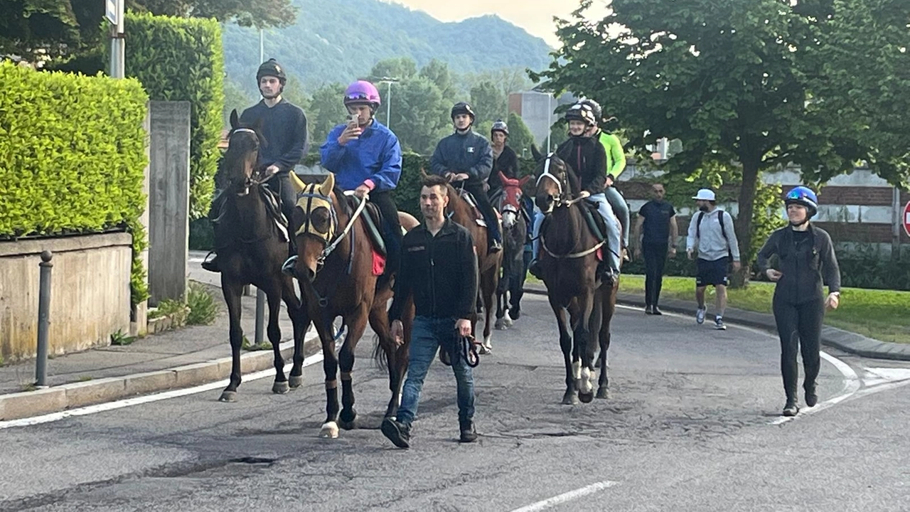 La marcia di protesta in sella ai cavalli questa mattina per le strade di Varese La marcia di protesta in sella ai cavalli questa mattina per le strade di Varese