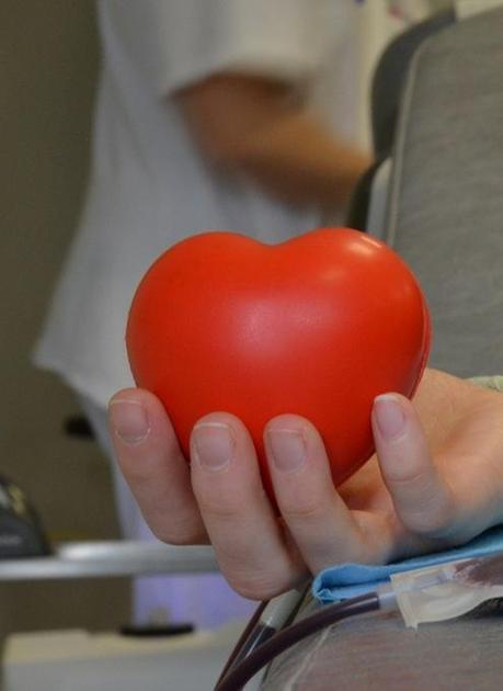"Ce l’abbiamo nel sangue". L’Avis Meda fa la sua festa "Ce l’abbiamo nel sangue". L’Avis Meda fa la sua festa