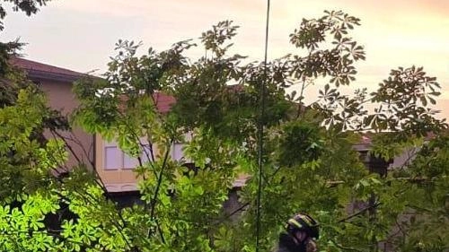 Raffica di interventi dei vigili del fuoco domenica sera Raffica di interventi dei vigili del fuoco domenica sera