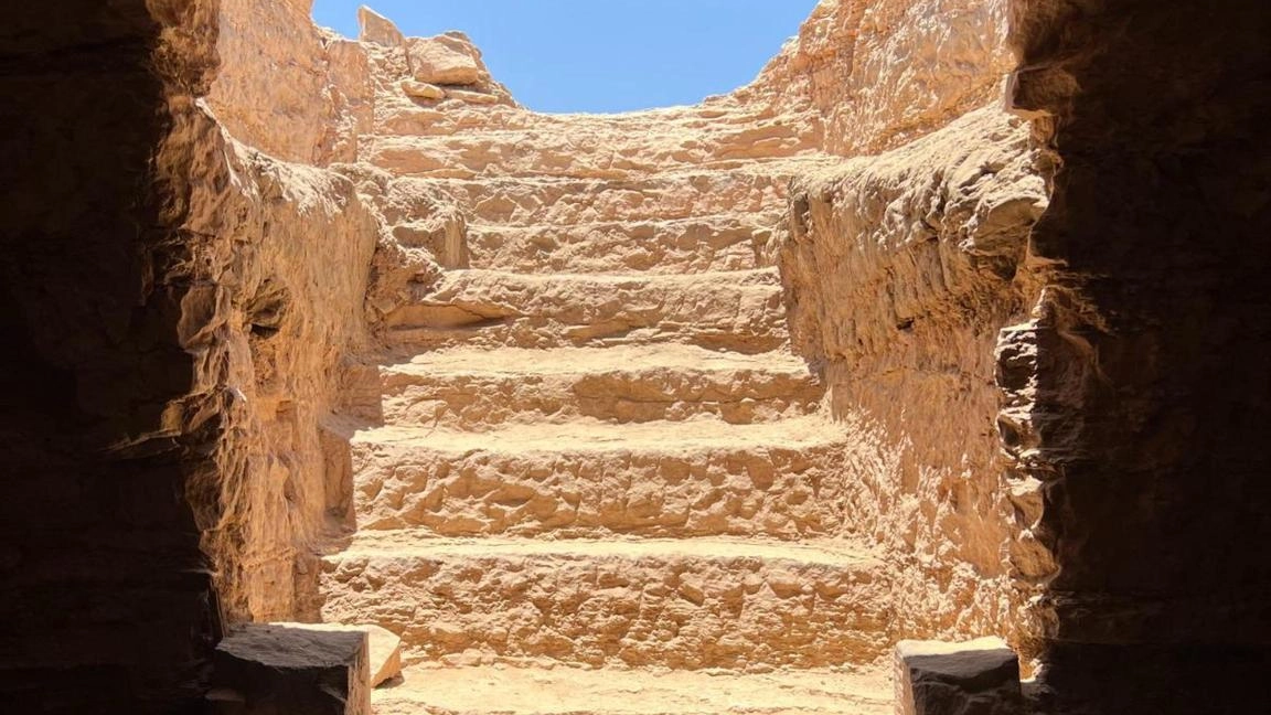Diverse mummie, anche di bambini, saranno sottoposte a Tac Diverse mummie, anche di bambini, saranno sottoposte a Tac